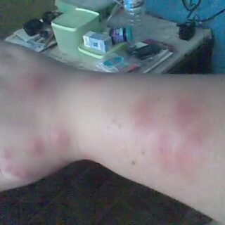 Beyond Economic Repair