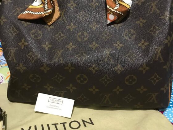 I Just Don’t Understand the Women’s Obsession with Branded Little Purse