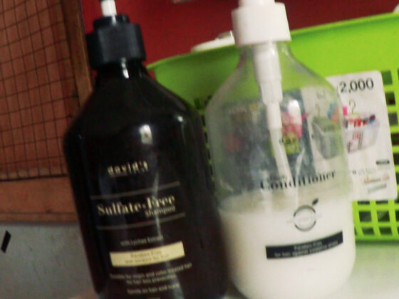 David’s Salon Products Protect and Revitalize Your Damaged and Colored Hair