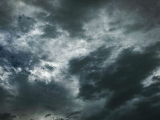 2020 Is Not A Promising Year