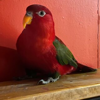 Our Covid-19 Vaccination Experience