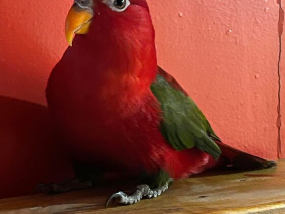 My heart is broken today and it’s Valentine’s Day!