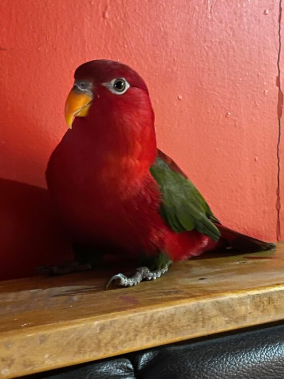 My heart is broken today and it’s Valentine’s Day!