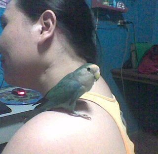 When it rains, oh it sure does pour!