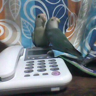 Janice, Joyce and Kristine! Gorgeous as ever!