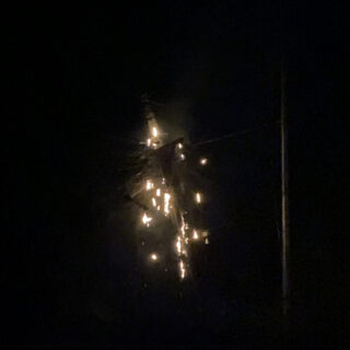 The Nightmare of Obtaining an Anti-Rabies Shot in the Philippines: A Personal Experience