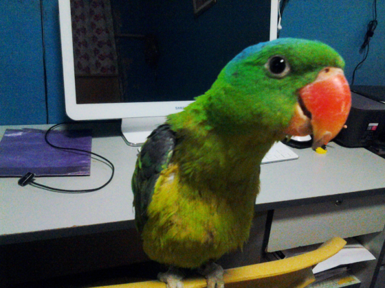 Missing Our Dean Winchester Ritoch and Koko Ritoch