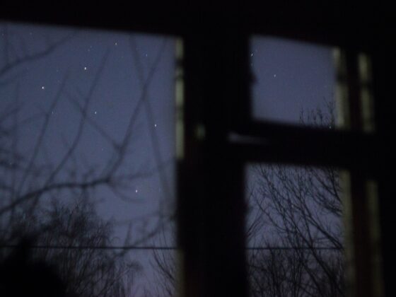 Sleepless Night: Battling Anxiety for a Summer Adventure