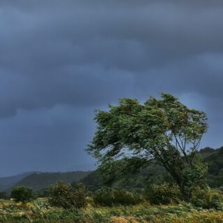 A Tale of Spiritual Quests, Medical Dramas, and Windshield Wiper Mysteries