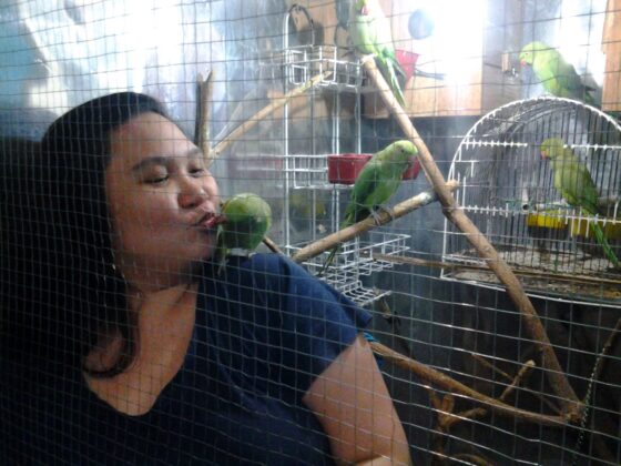 The Real Scoop on Parrot Parenting: A Guide for Aspiring Polly Tamers