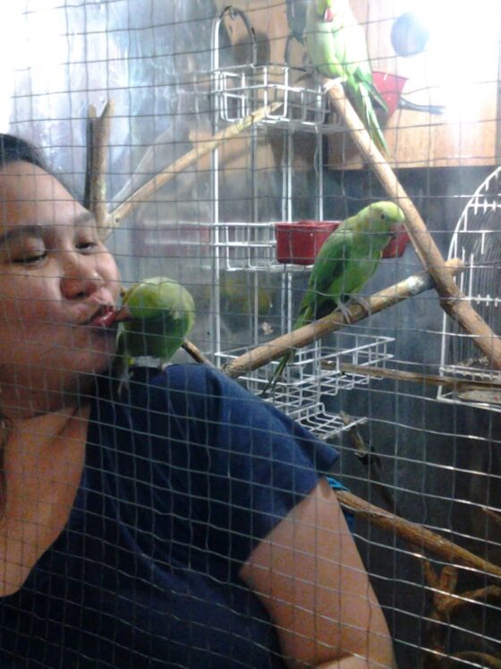 The Real Scoop on Parrot Parenting: A Guide for Aspiring Polly Tamers