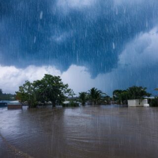 Full Circle: Everyone’s Lola Thelma