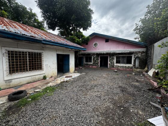 Buying a Foreclosed Property: From “As Is, Where Is” Nightmare to a Happy Ending