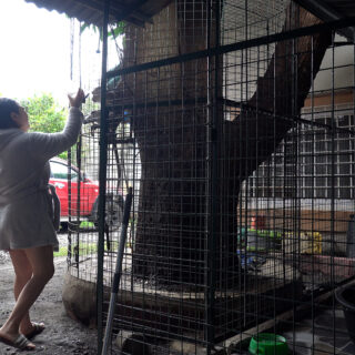 An Anti-Rabies Shot, a Story, and the People Who Made It Easy