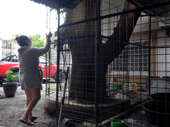 A Mini Zoo, a Missed Garbage Pickup, and the Phone Call That Restored My Faith (Slightly)